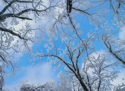 河南多景区飘起鹅毛大雪是否有吸引了更多的游客？