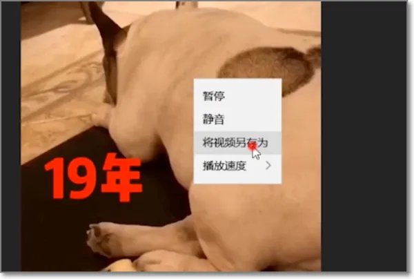 微博视频怎么下载