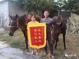 冲入海中救男孩的两匹马病危,海水对马有害吗?