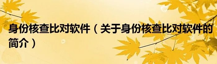 身份核查比对软件（关于身份核查比对软件的简介）