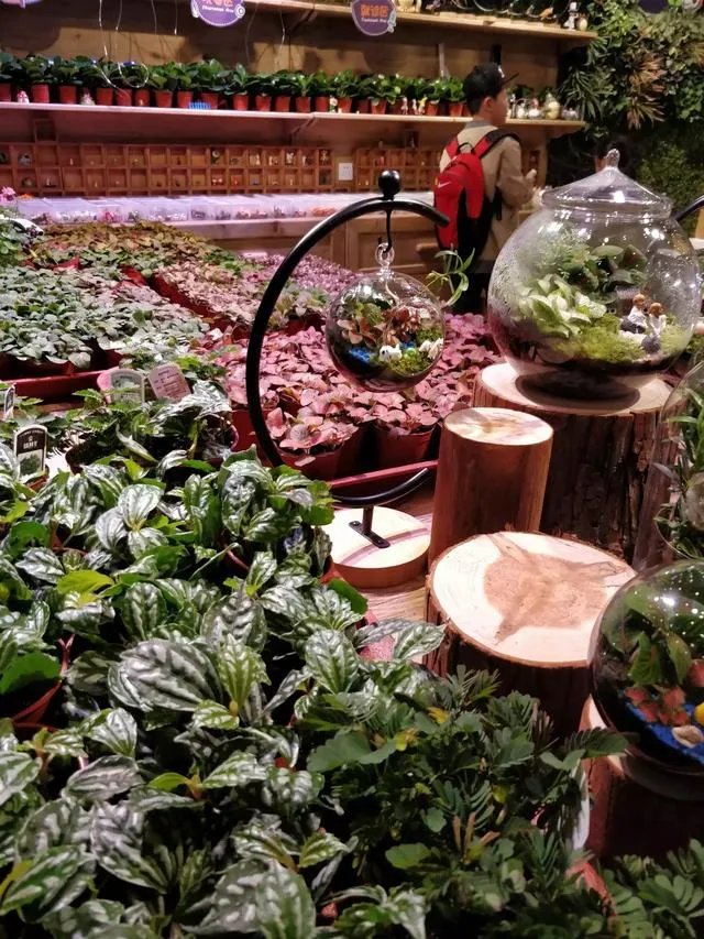 杭州有哪些有故事的书店推荐？