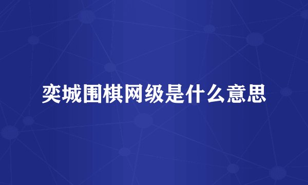 奕城围棋网级是什么意思