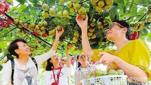 农村怎样致富？