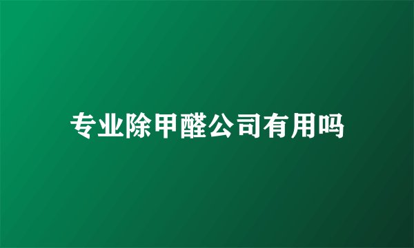 专业除甲醛公司有用吗