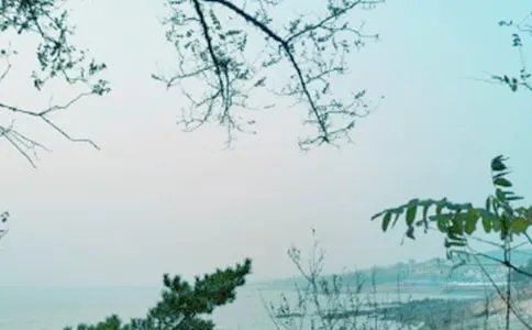 羌笛何须怨杨柳，春风不度玉门关的意思