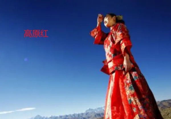 歌曲高原红说的是什么意思?