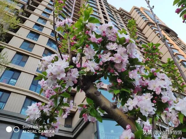 你眼里的春天是什么样子的?