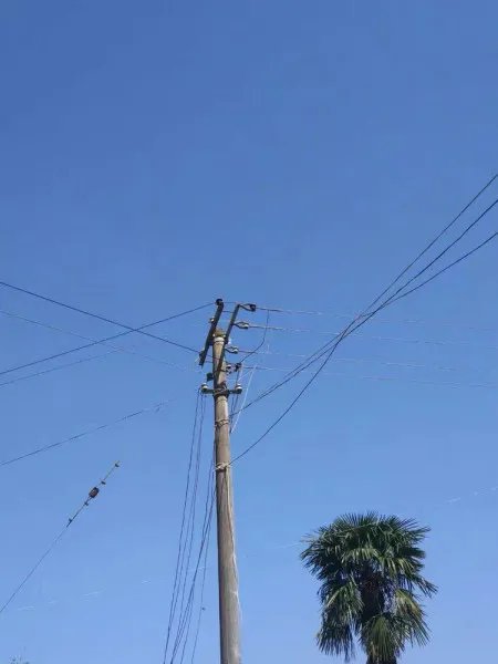 国家司法考试信息服务平台