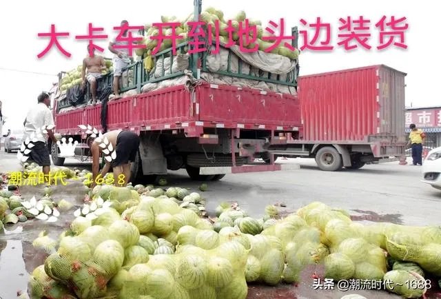 西瓜滞销的原因有哪些？农村地区公路限高会导致滞销吗？农民该如何应对？