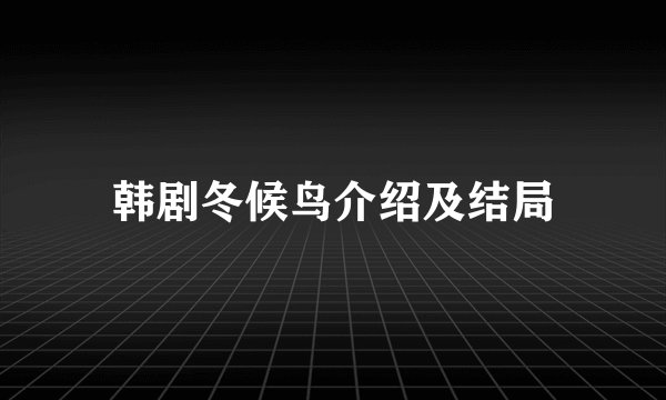 韩剧冬候鸟介绍及结局