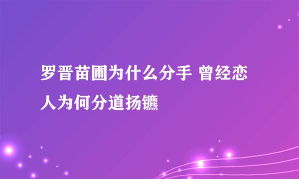 罗晋苗圃为什么分手 曾经恋人为何分道扬镳