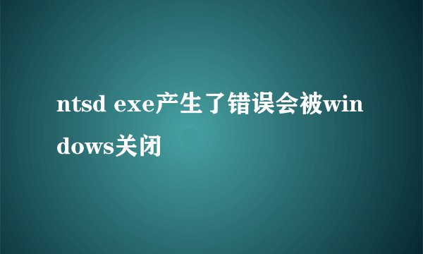ntsd exe产生了错误会被windows关闭