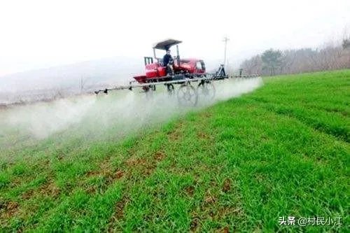 小麦除草剂现在适合打吗？