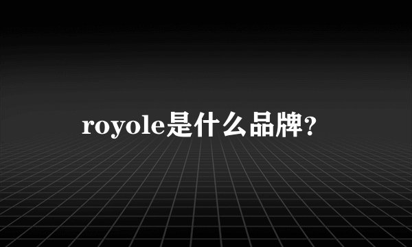 royole是什么品牌？