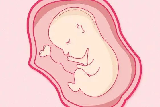 试管最有名的医院-荔枝湾丨慈济医院——广东首例试管婴儿诞生于此