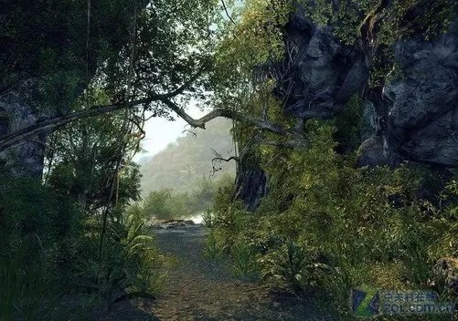 谁将更胜一筹?单机与网络FPS游戏全对比