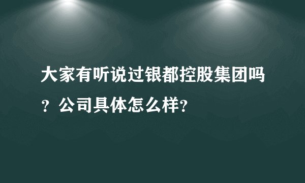 大家有听说过银都控股集团吗？公司具体怎么样？