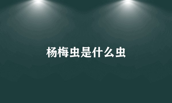杨梅虫是什么虫