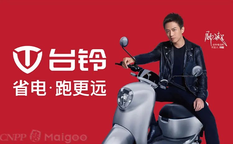 品牌榜：2023年电动车十大品牌排行榜 投票结果公布【新】