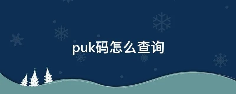 puk码怎么查询