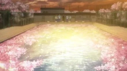 遥凛的代表花是什么