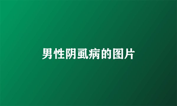 男性阴虱病的图片