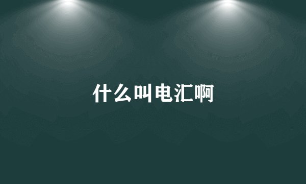 什么叫电汇啊