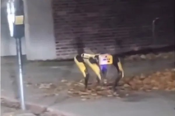 机器狗夜晚独自在街头游荡，现场看到的人是何反应？