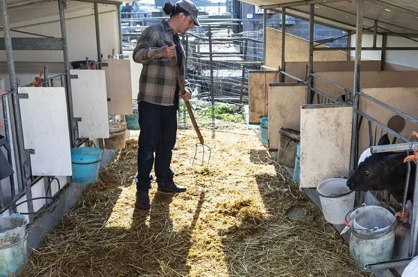 小型生产加工项目