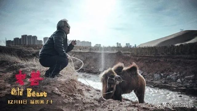 2017年，电影界发生了哪些大事件？