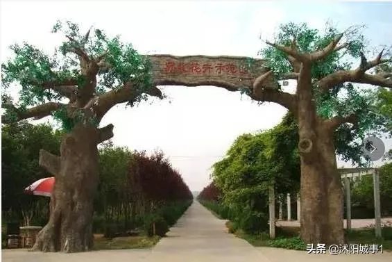 沭阳有什么景点？