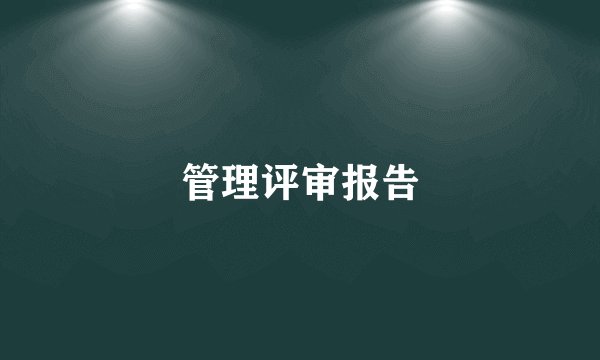 管理评审报告