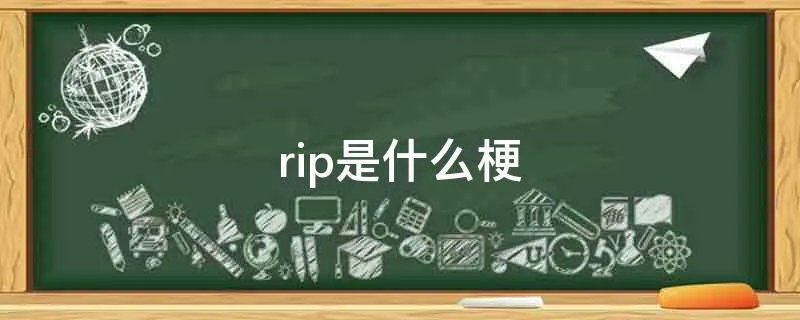 rip是什么梗