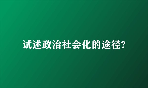 试述政治社会化的途径?