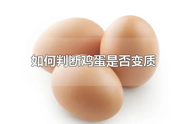 如何判断鸡蛋是否变质 鸡蛋变质的原因