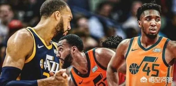 在确诊之后，戈贝尔主动捐款50万美元为抗击疫情，你是如何看待他态度的转变？