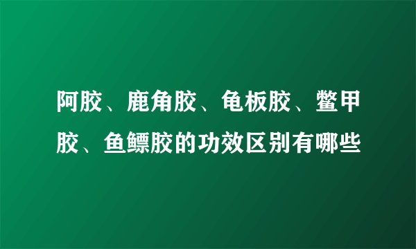 阿胶、鹿角胶、龟板胶、鳖甲胶、鱼鳔胶的功效区别有哪些