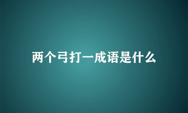 两个弓打一成语是什么