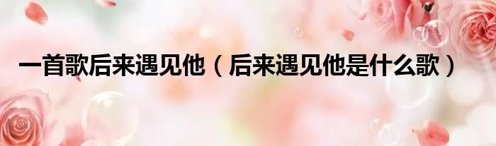 一首歌后来遇见他（后来遇见他是什么歌）
