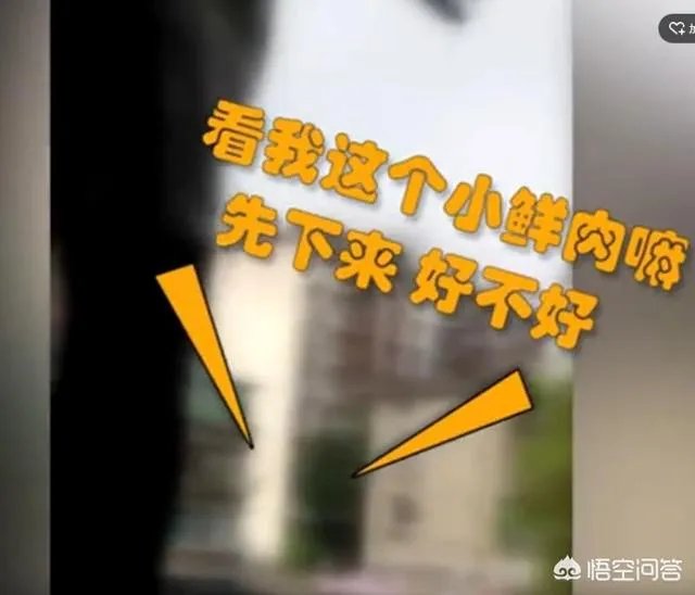 四川泸州一民警机智“撩妹”救下轻生女孩，你怎么看？