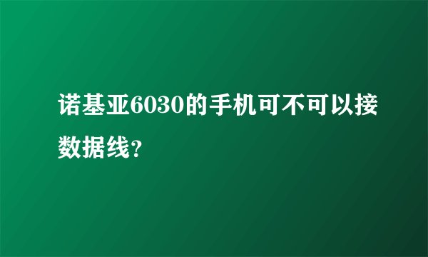 诺基亚6030的手机可不可以接数据线？