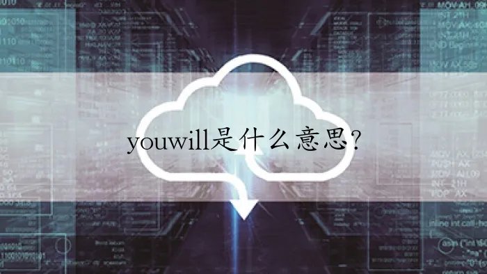 youwill是什么意思？