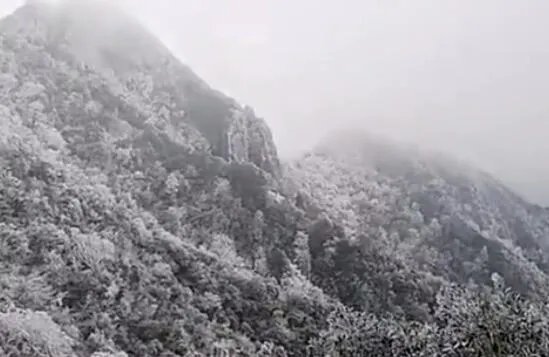 广东下雪了吗2021 广东2021年的第一场雪来了吗