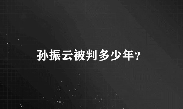 孙振云被判多少年？