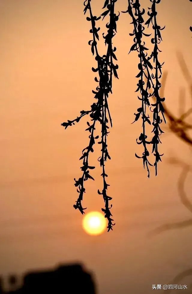 70-300镜头适合拍什么？