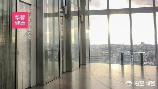 想要去日本体检，不知道有没有接送的服务？