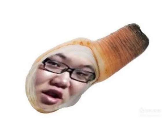 象拔蚌什么梗？