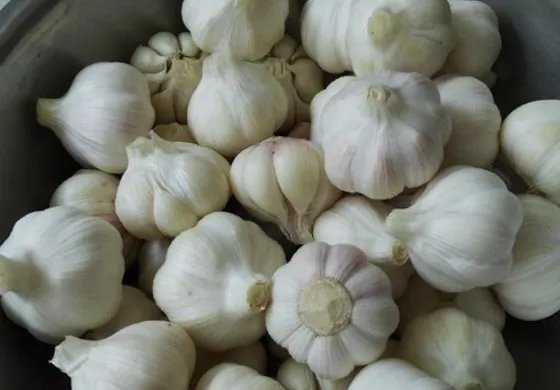 怎么做好吃 糖蒜最正宗的做法