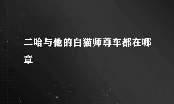 二哈与他的白猫师尊车都在哪章