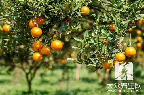 桔子皮泡水喝的功效是什么？